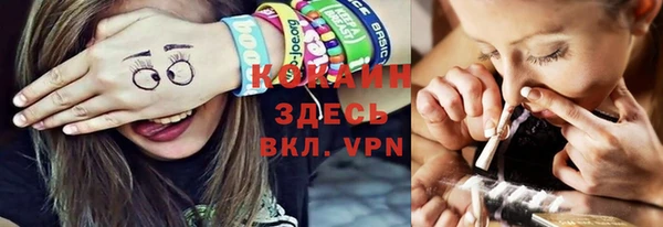 шишки Богданович