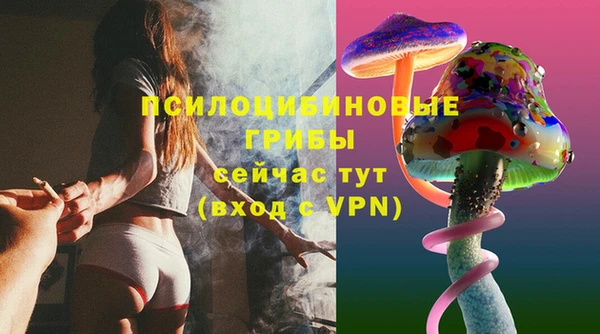 первитин Богородск